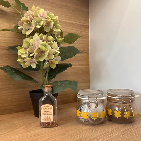 Szczęśliwa 13 Sopot